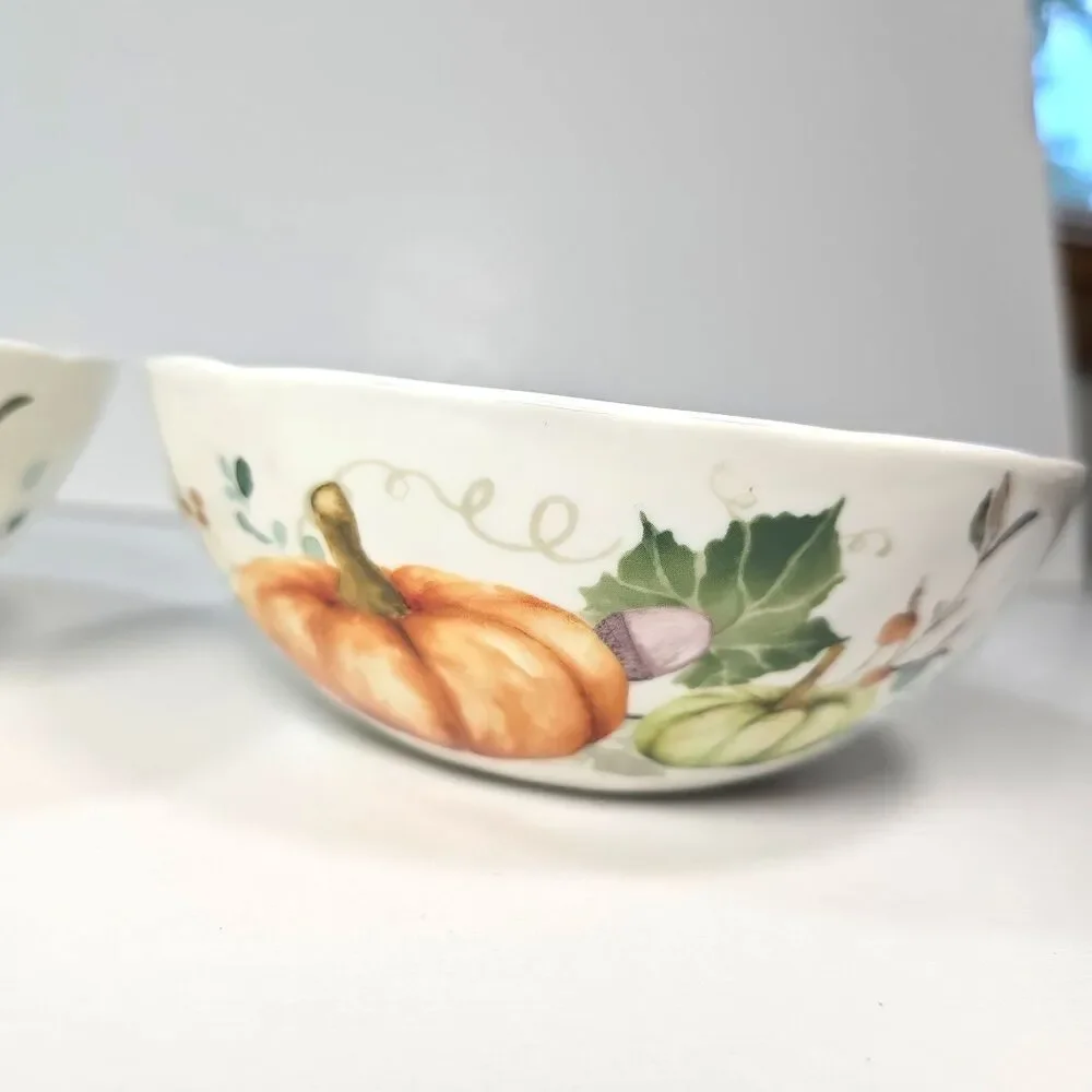 Pier 1 Soup Cereal Bowls Autumn Pumpkin Set of 2 Squash Gourd Fine China Ceramic